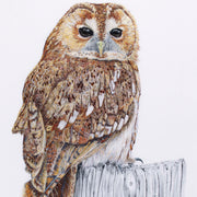 limited edition print of a Owl hand embroidery