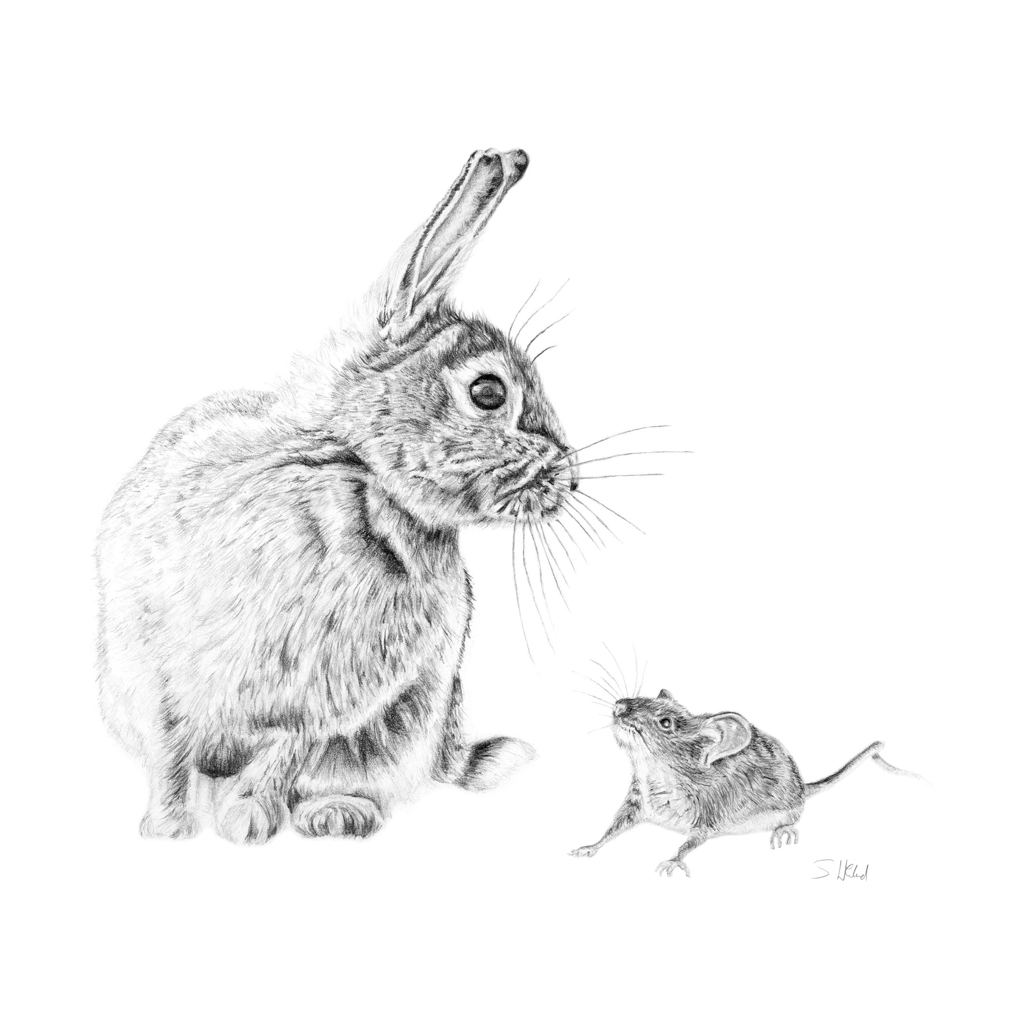 Greenwich Rabbit and Mouse - Drawing Print