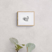 Pencil drawing of a squirrel limited edition print in frame on the wall