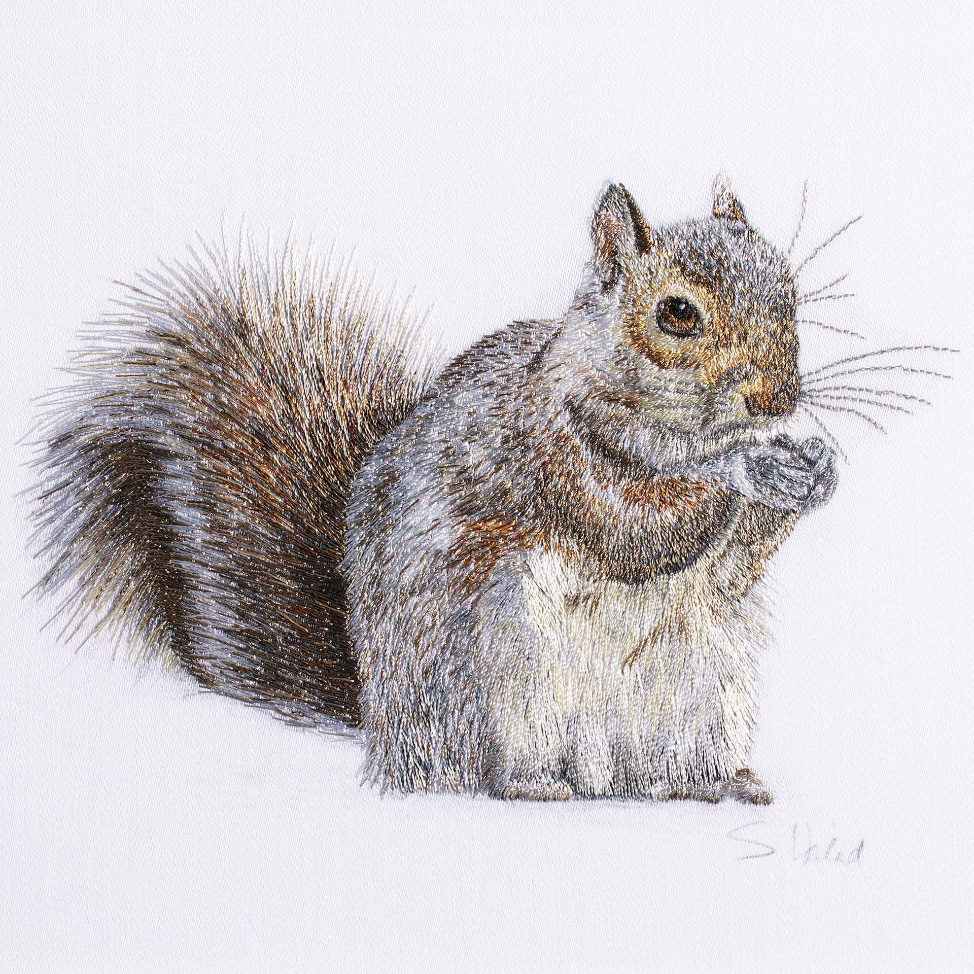 Squirrel hand embroidery limited edition print