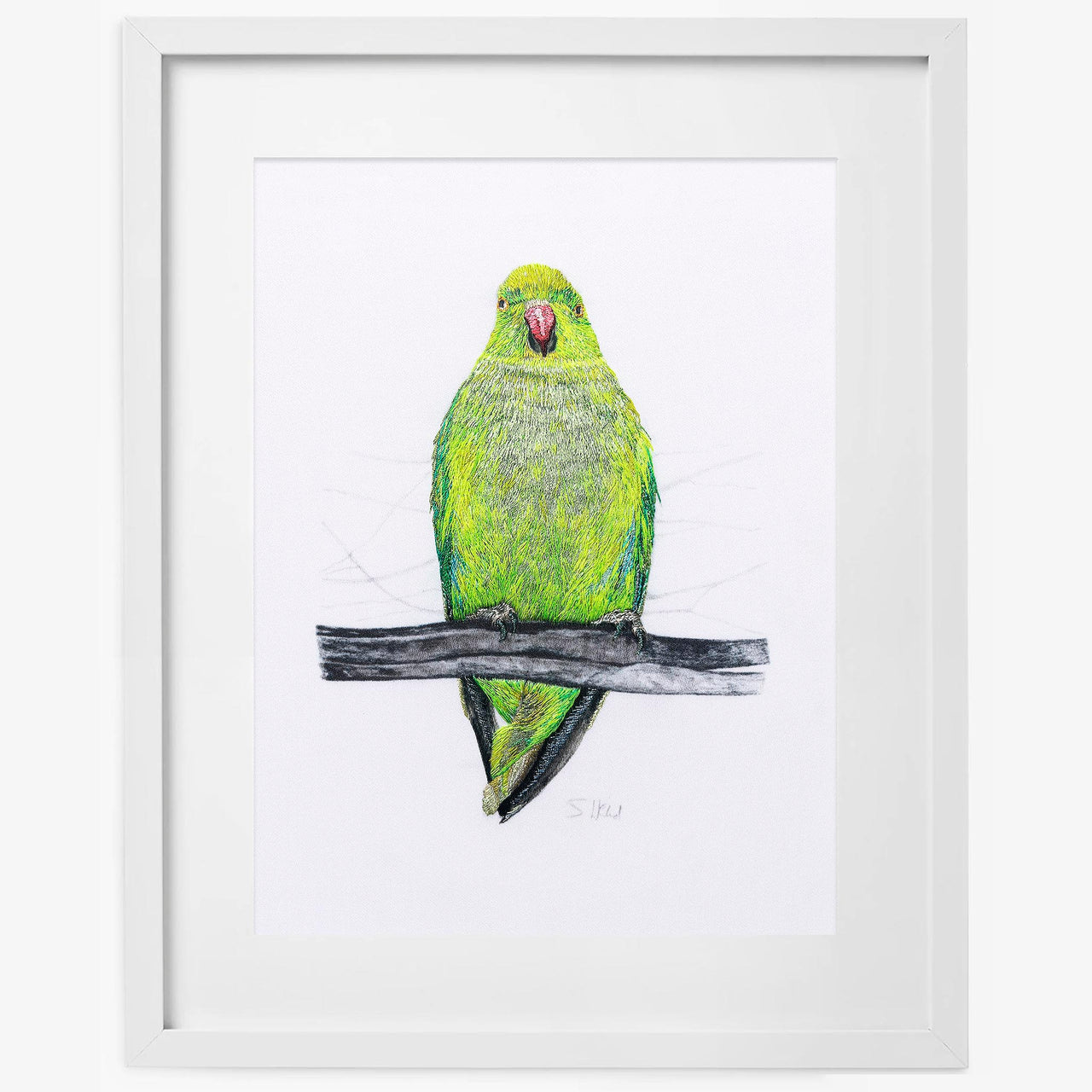 Hand embroidered parakeet  limited edition print in a white framed