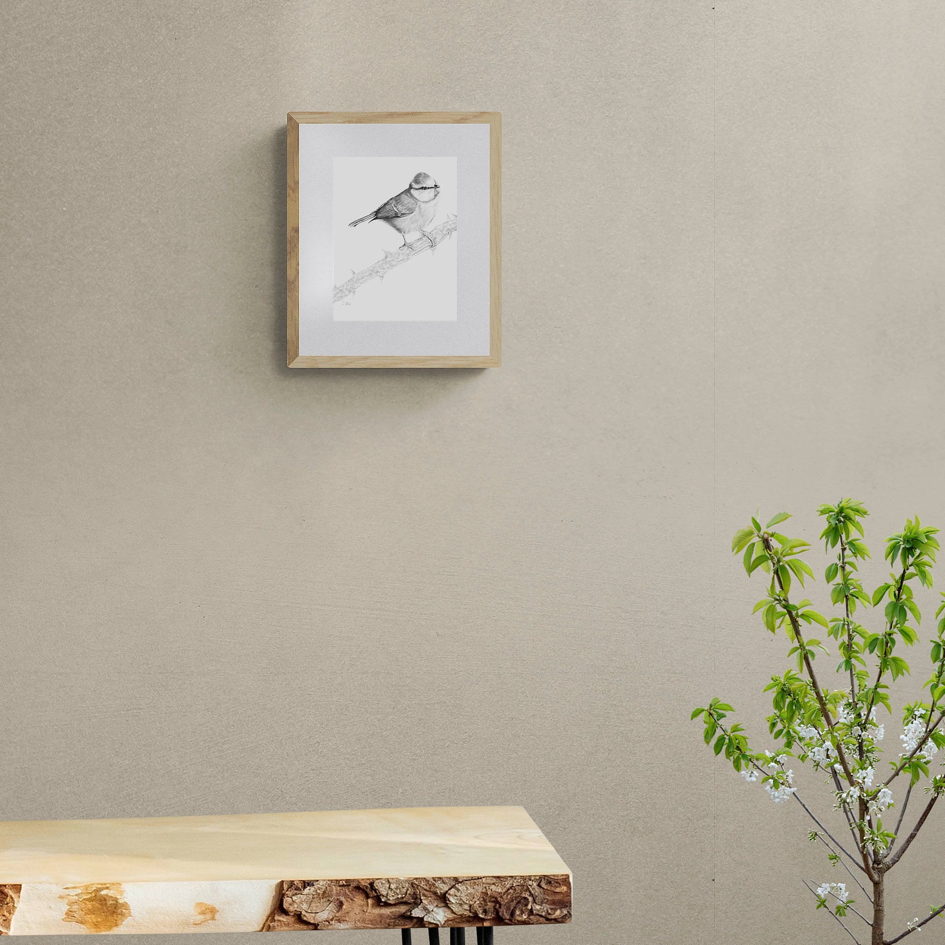 Blue tit pencil drawing print in frame on the wall