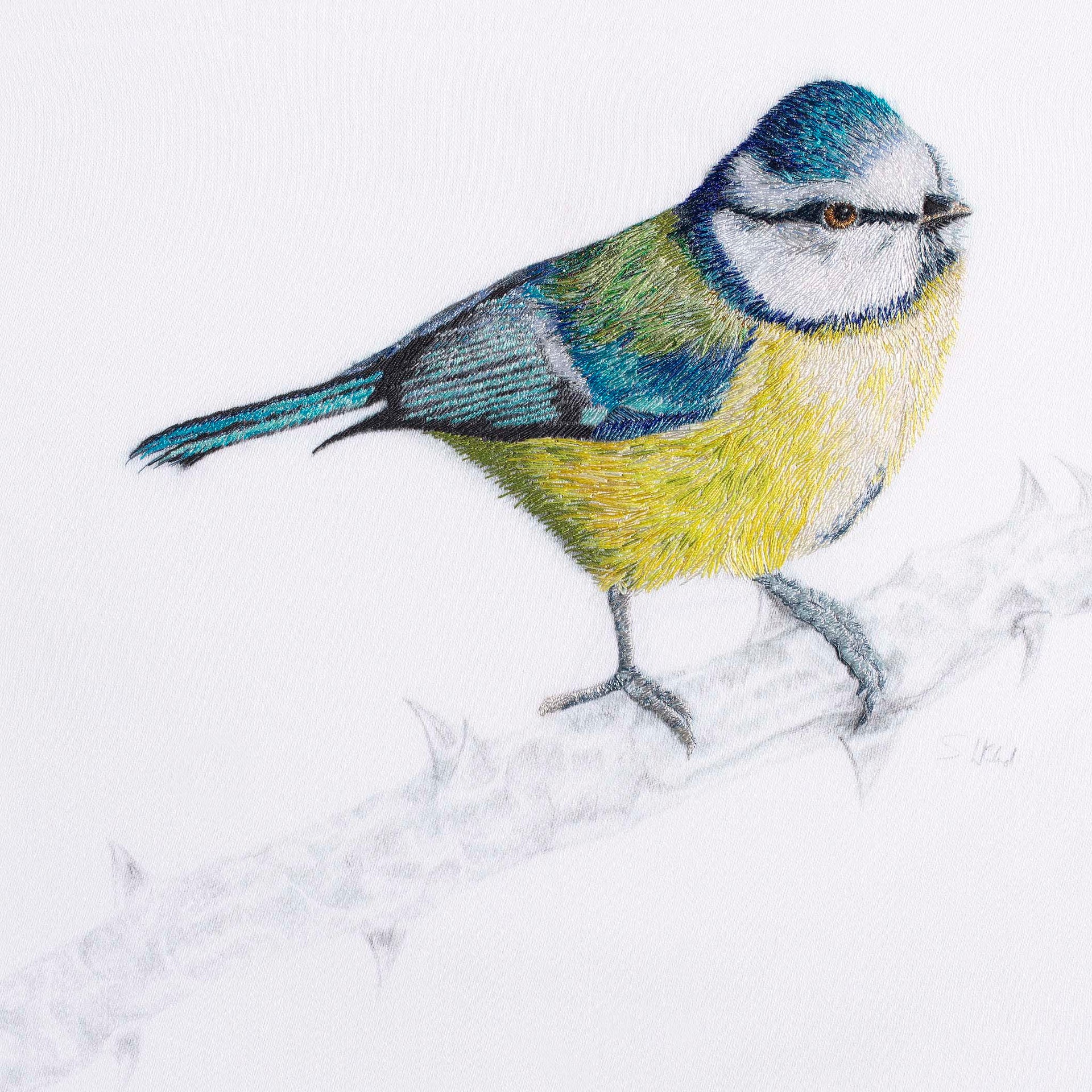 Blue tit hand embroidery limited edition print