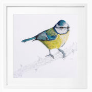 Blue tit hand embroidery limited edition print in white frame