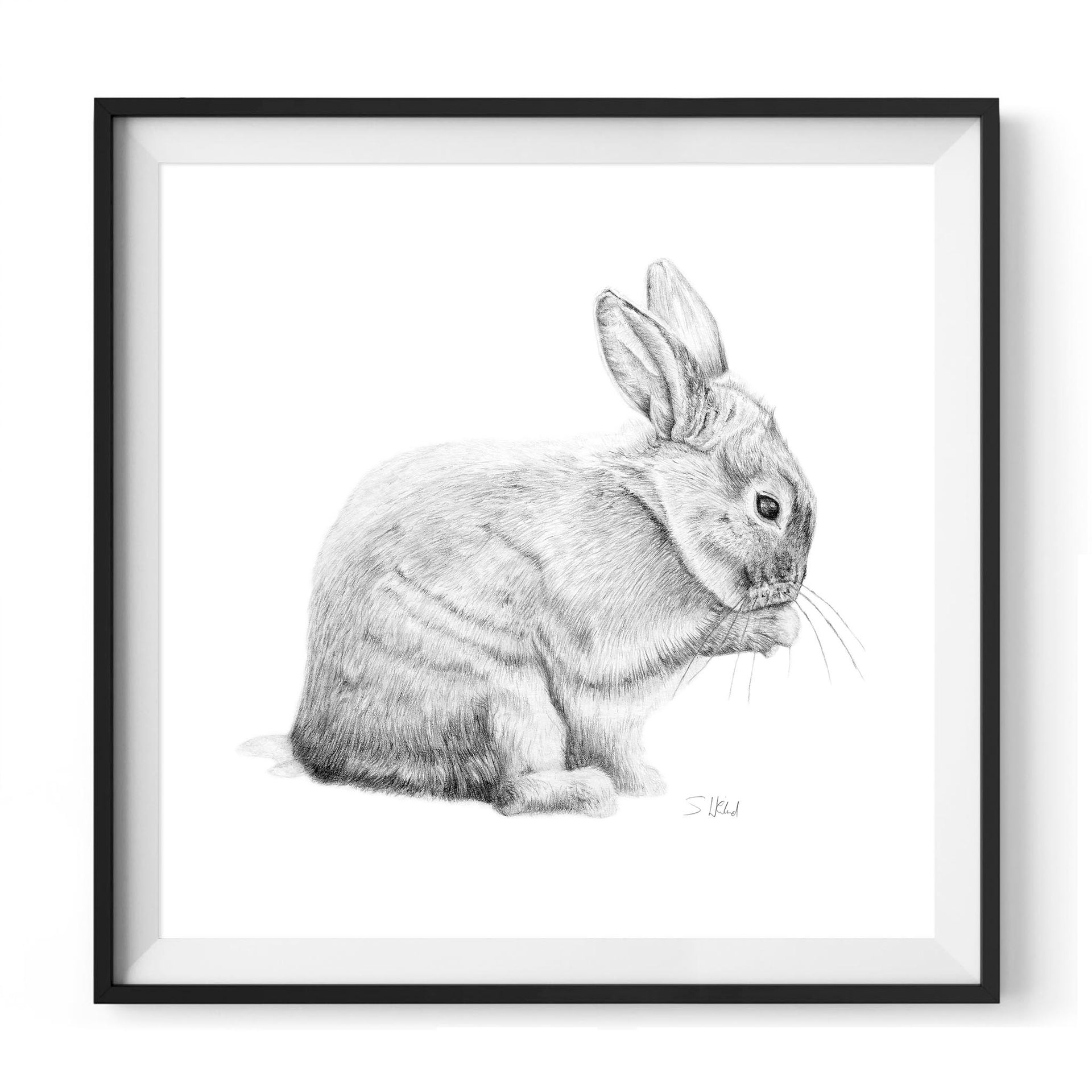 Giclée print of bunny pencil drawing in black frame