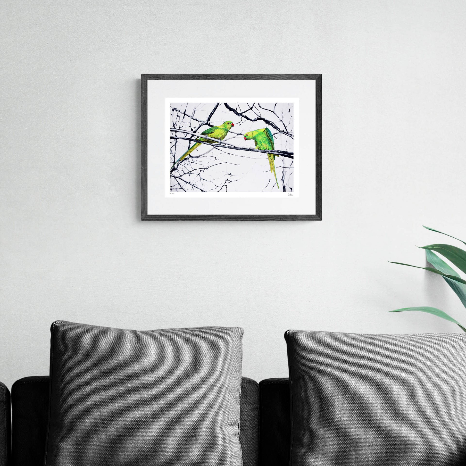 Hand embroidered hyde park parakeets limited edition print in black frame on the wall