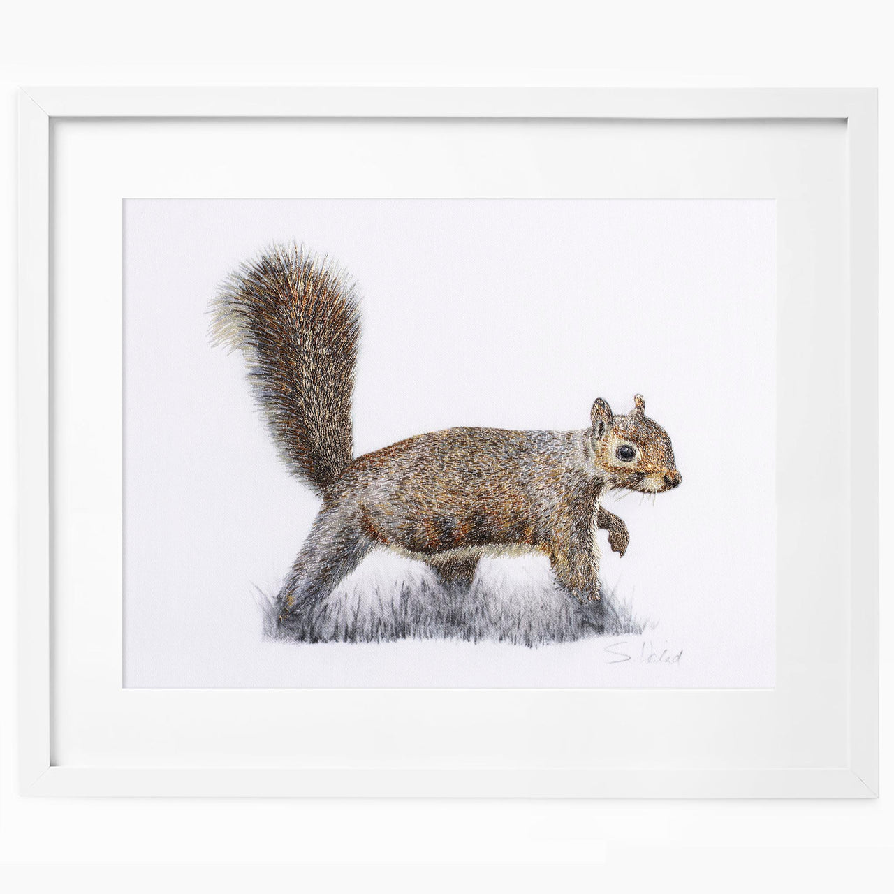 Squirrel hand embroidered limited edition print in white frame