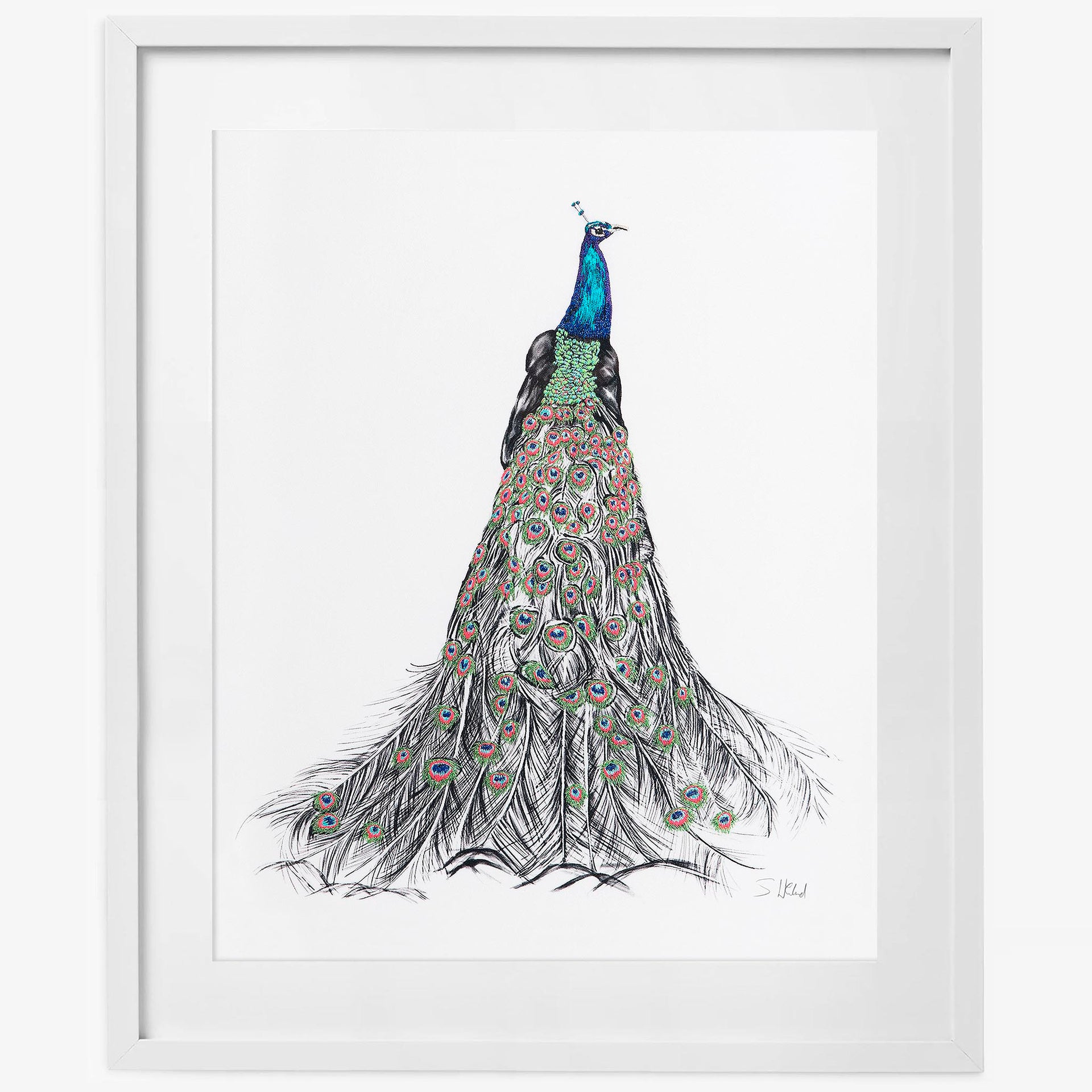 Peacock hand embroidered limited edition print in white frame