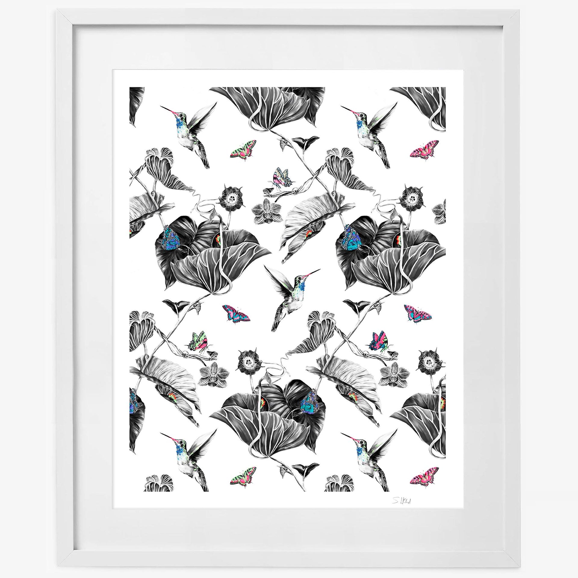 Hummingbird limited edition print in white frame