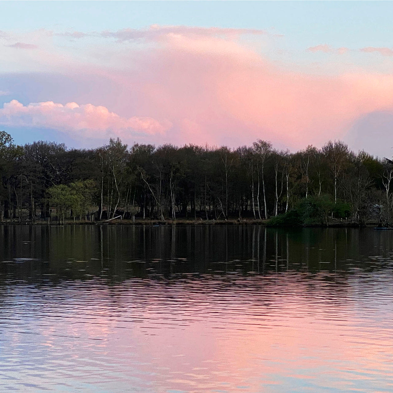 Pink Clouds