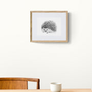 Hedgehog pencil drawing print in frame on the wall