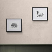 Animal drawing prints in frames on the wall