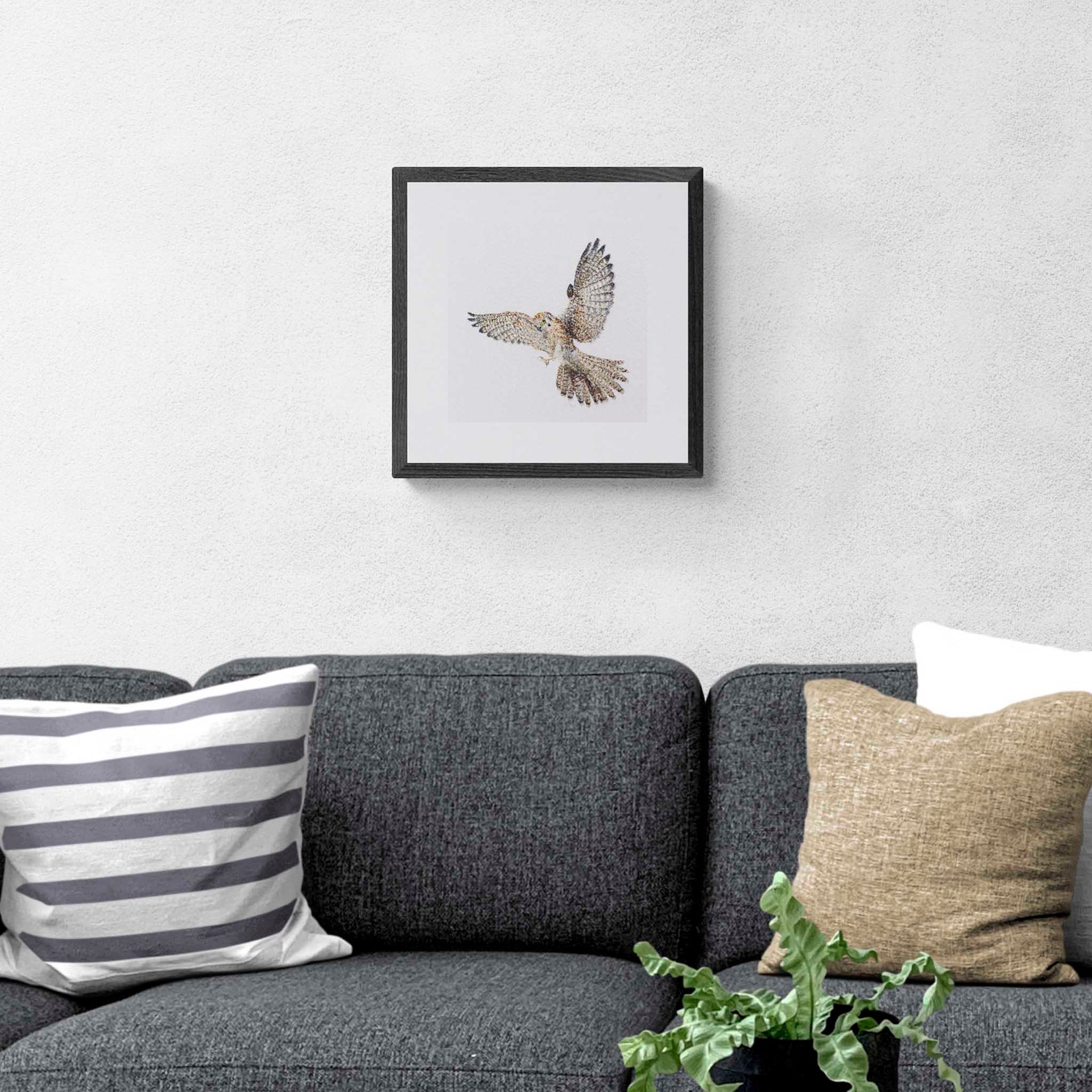 Limited Edition Print of Regent Kestrel hand embroidered artwork in black frame on the wall