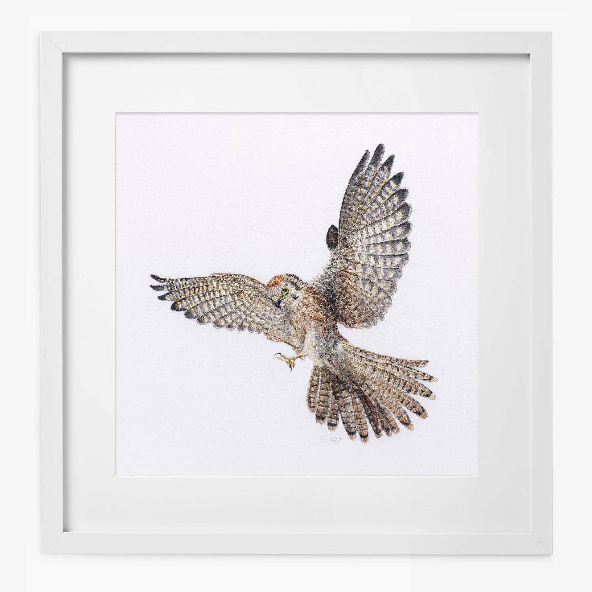 Limited Edition Print of Regent Kestrel hand embroidered artwork in white frame