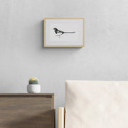Magpie drawing limited edition print in frame on the wall