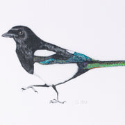 Hand embroidered magpie limited edition print