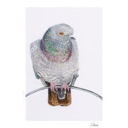 Pigeon hand embroidered limited edition print