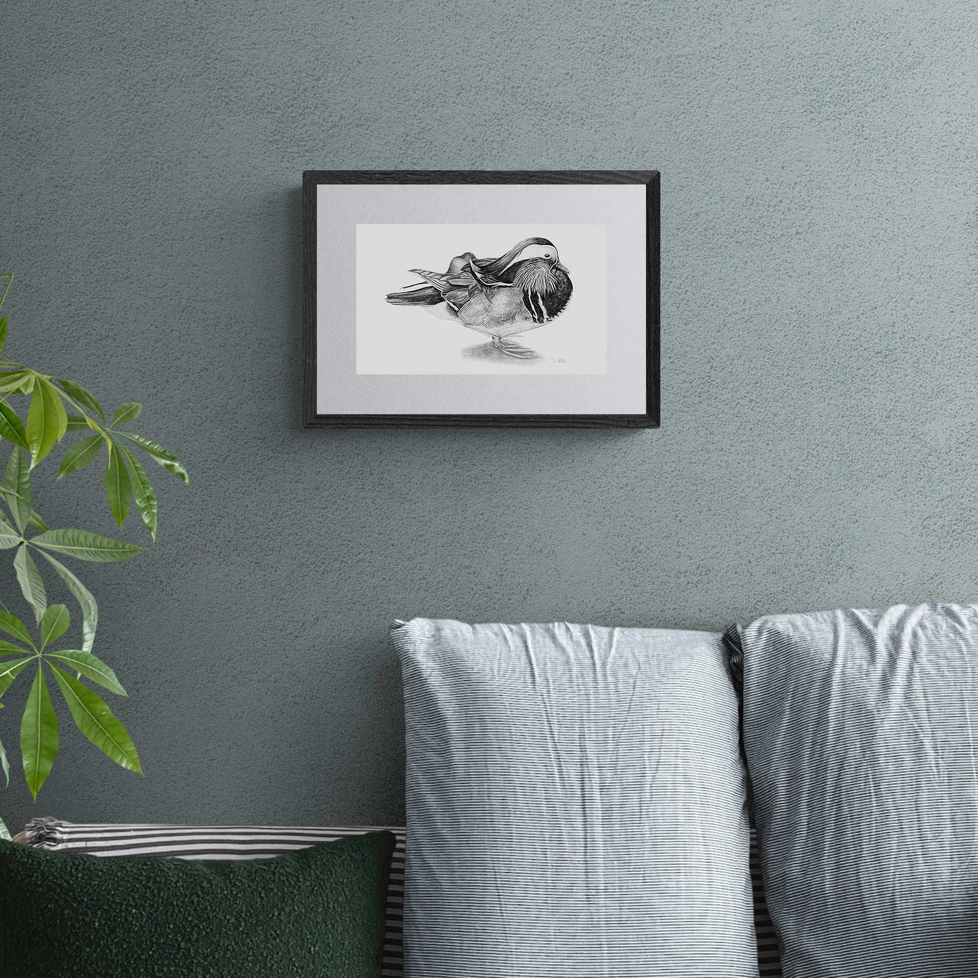 Mandarin duck pencil drawing print in black frame on the wall