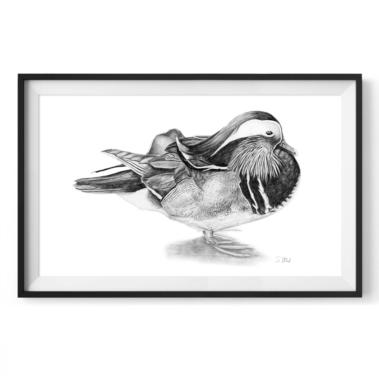 Mandarin duck pencil drawing print in black frame