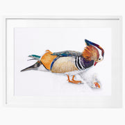 Mandarin duck hand embroidered limited edition print in white frame