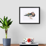 Mandarin duck hand embroidered limited edition print in black frame on the wall