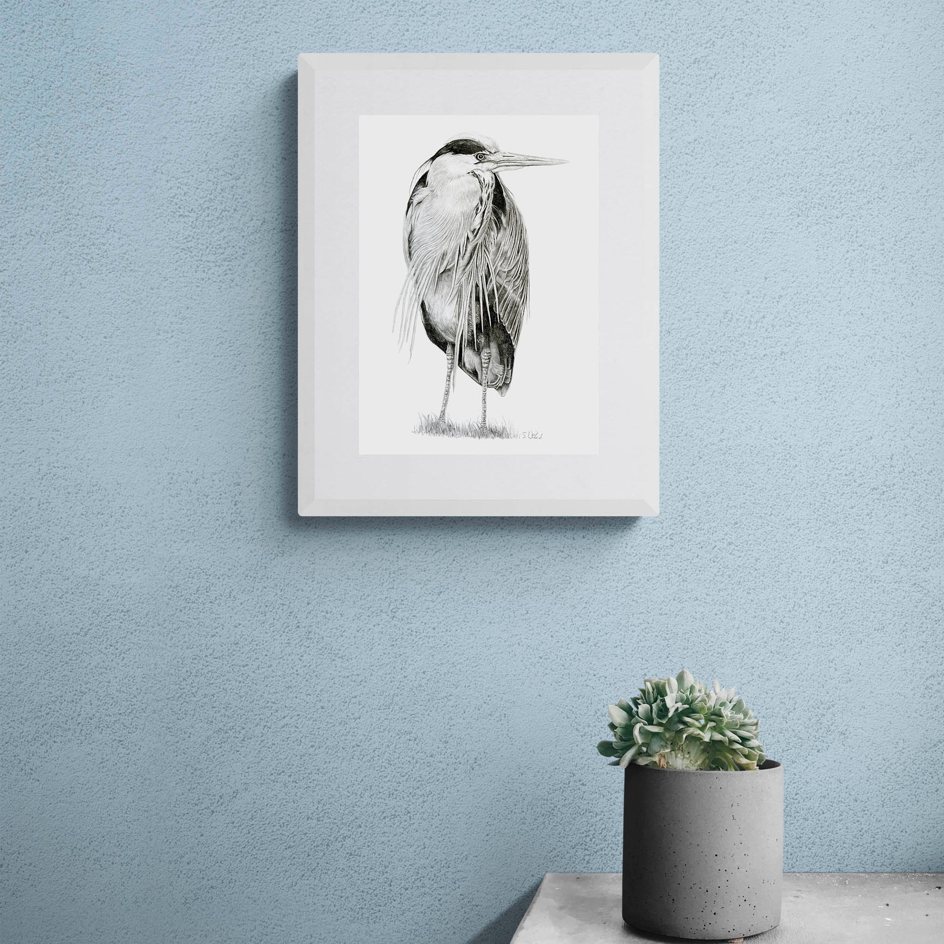 Heron pencil drawing print in white frame