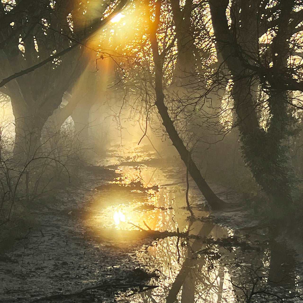 Sunrise Reflection