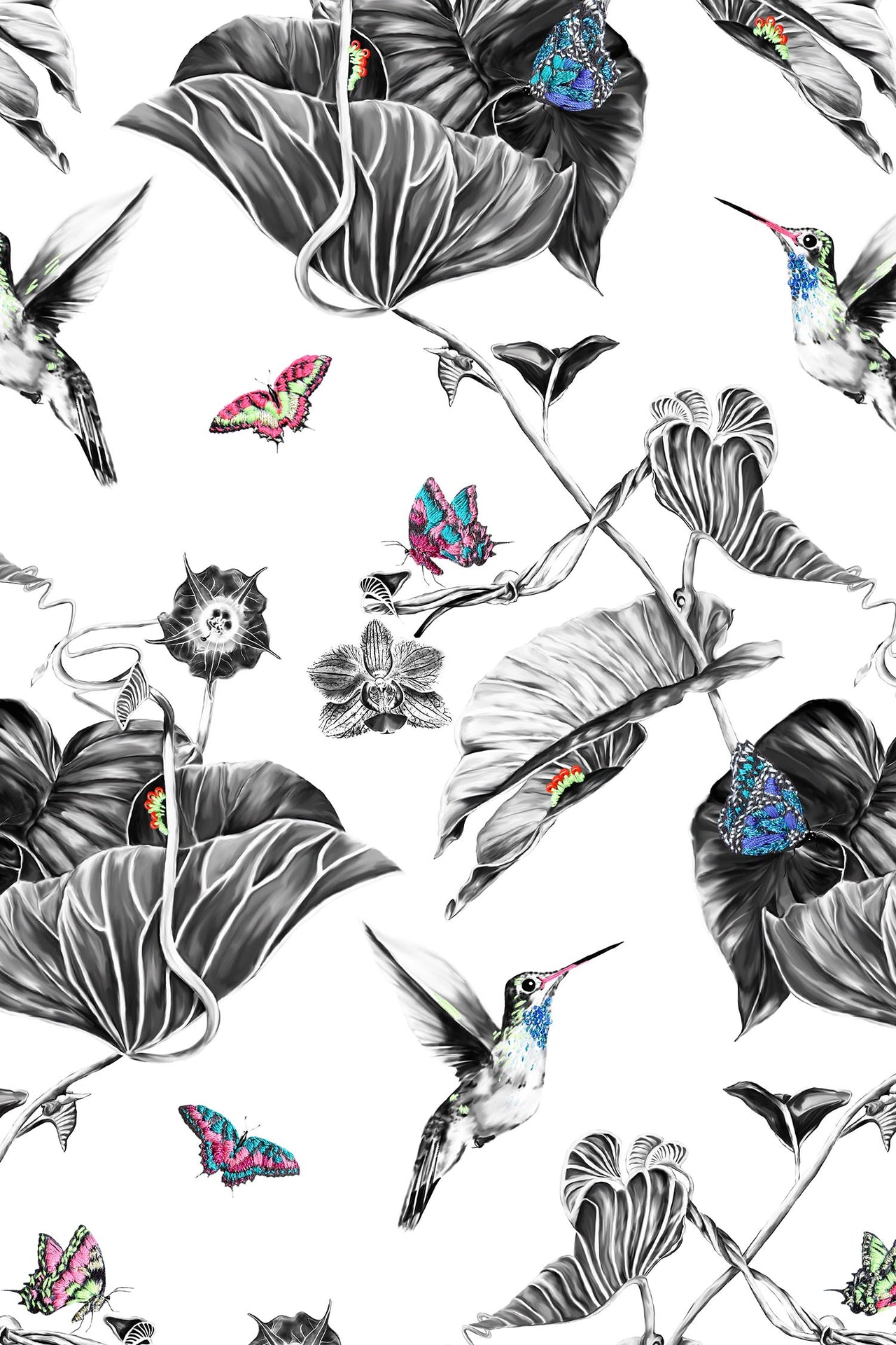 Multi hummingbirds wallpaper sample