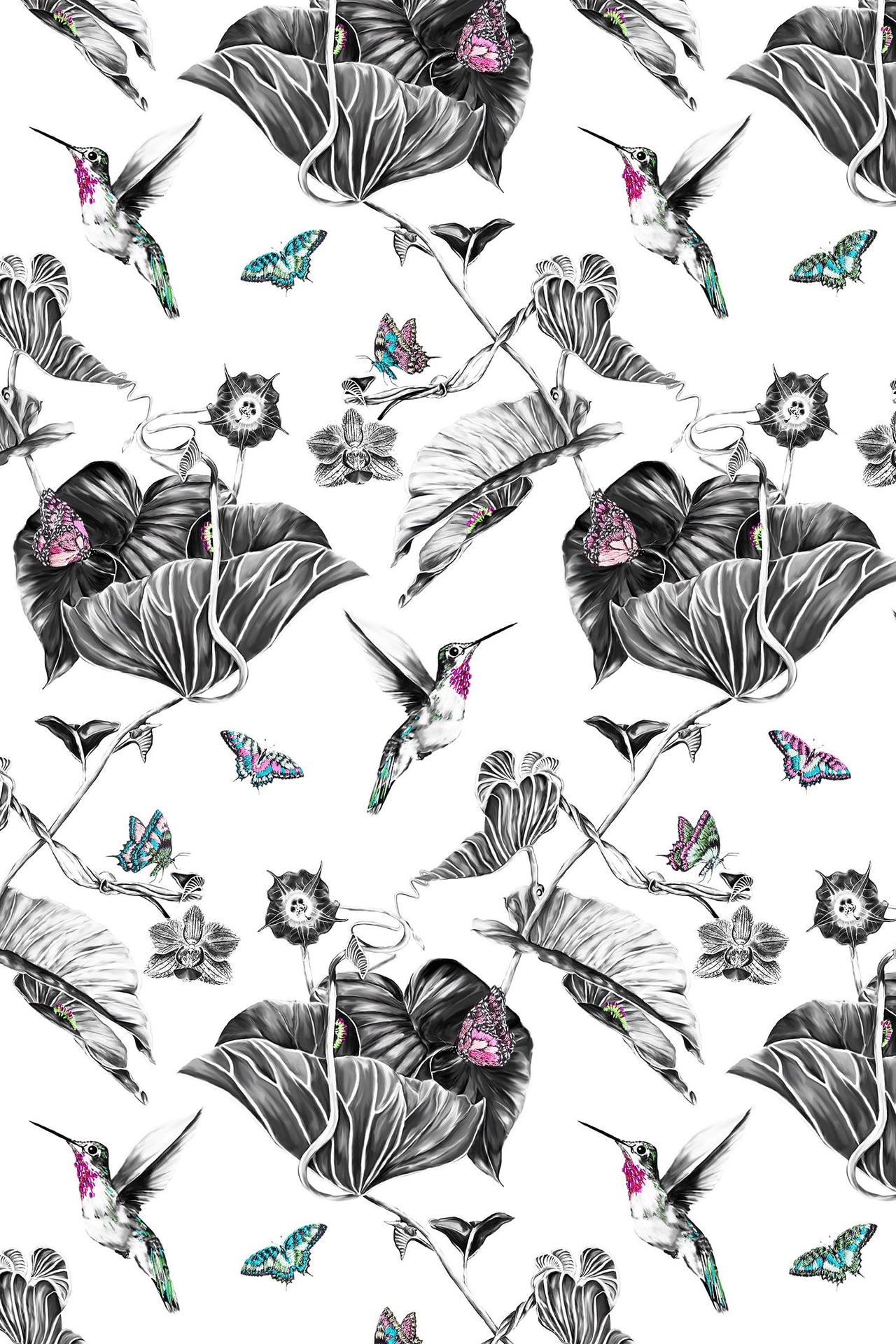 Hummingbird Wallpaper - Pink