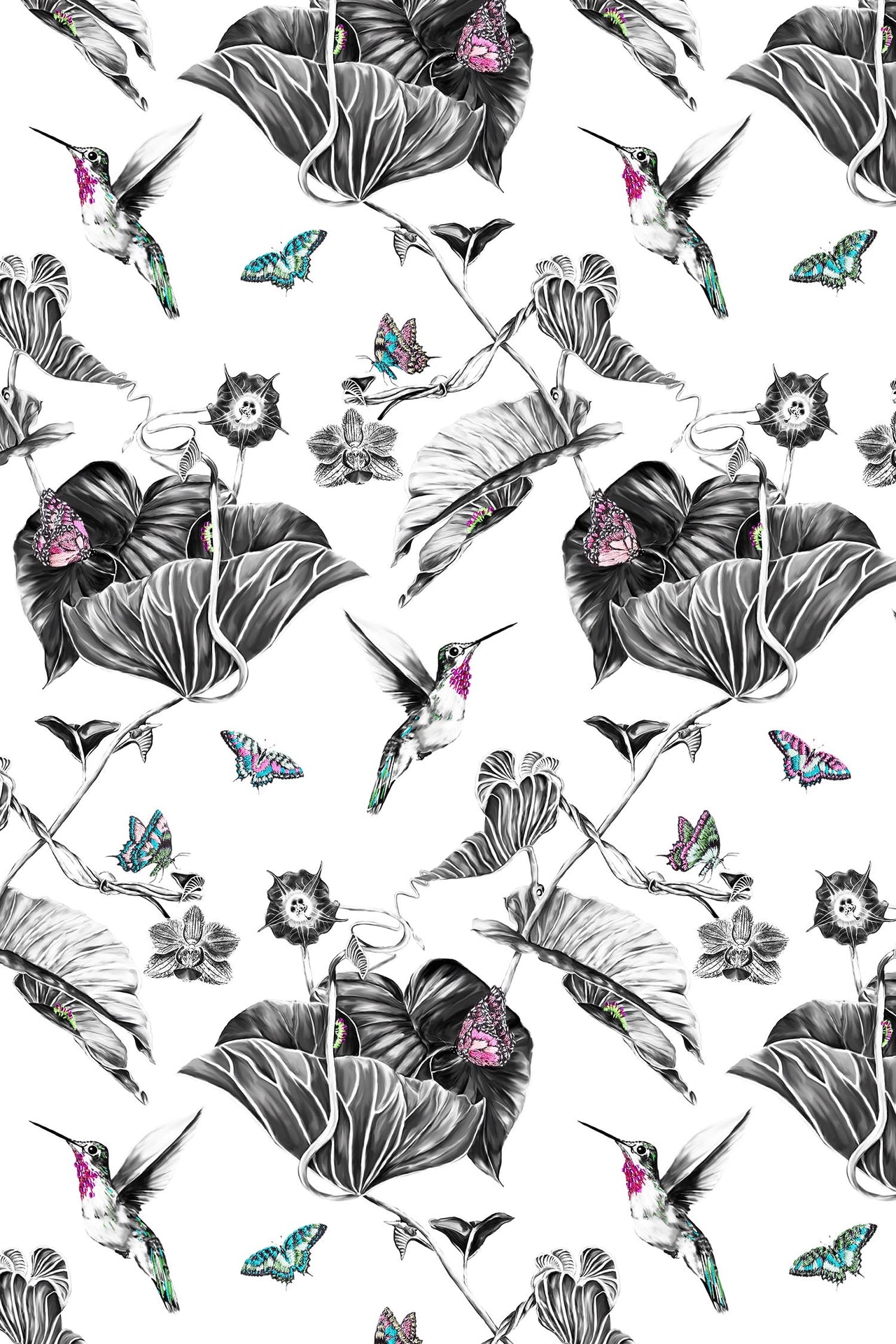Pink hummingbird wallpaper.