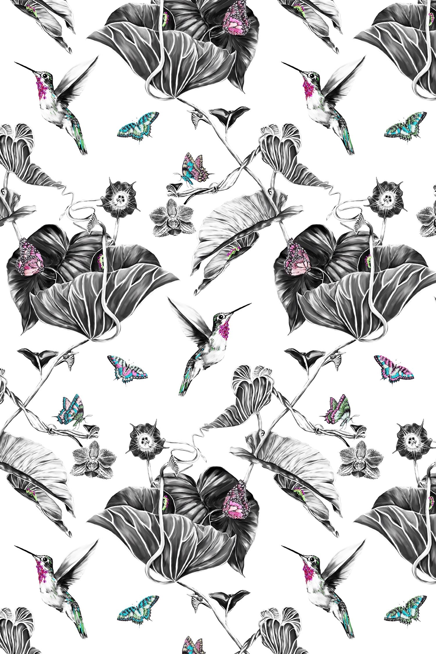 Pink hummingbird wallpaper.