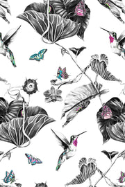 Pink hummingbird wallpaper close up.