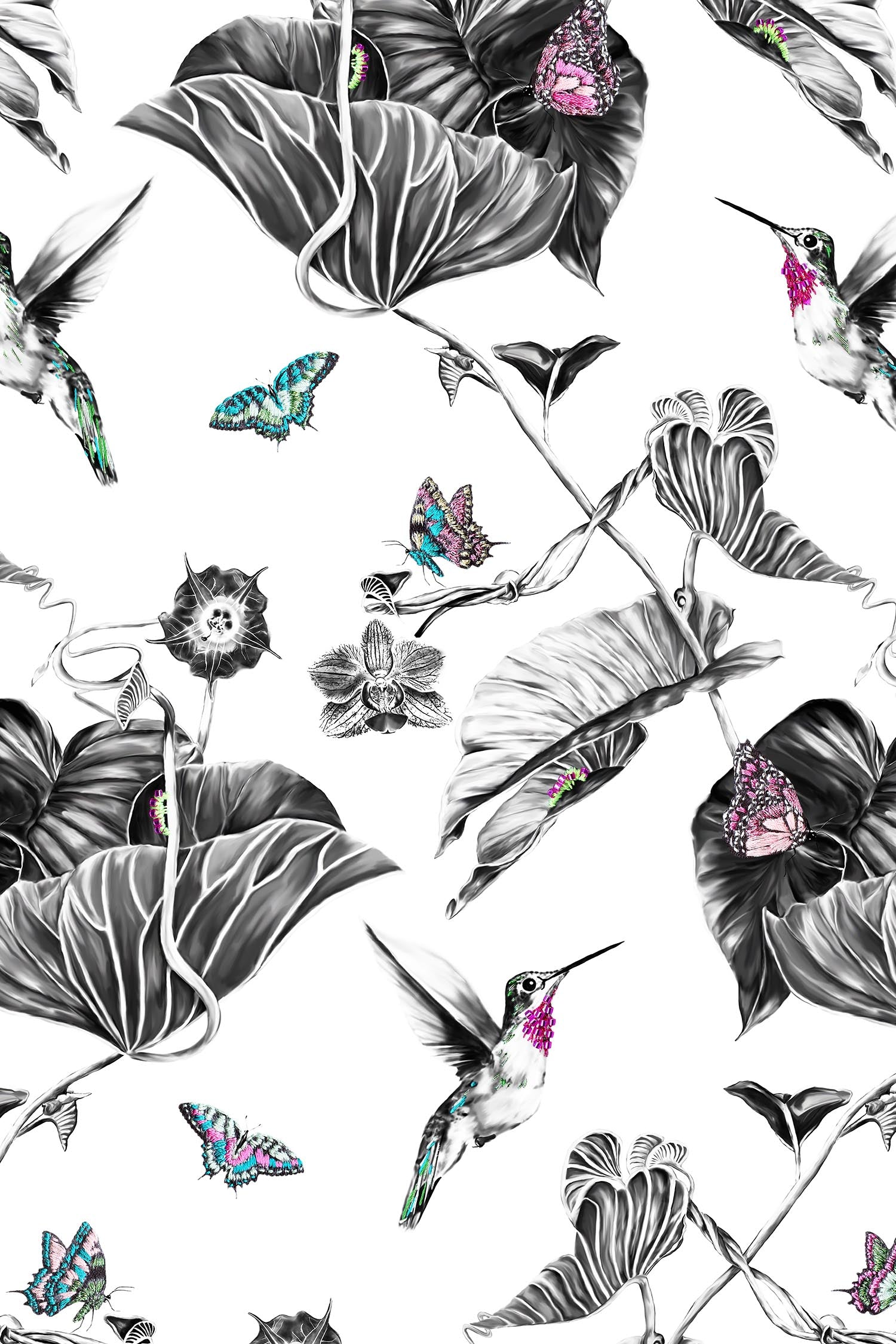 Pink hummingbird wallpaper close up.