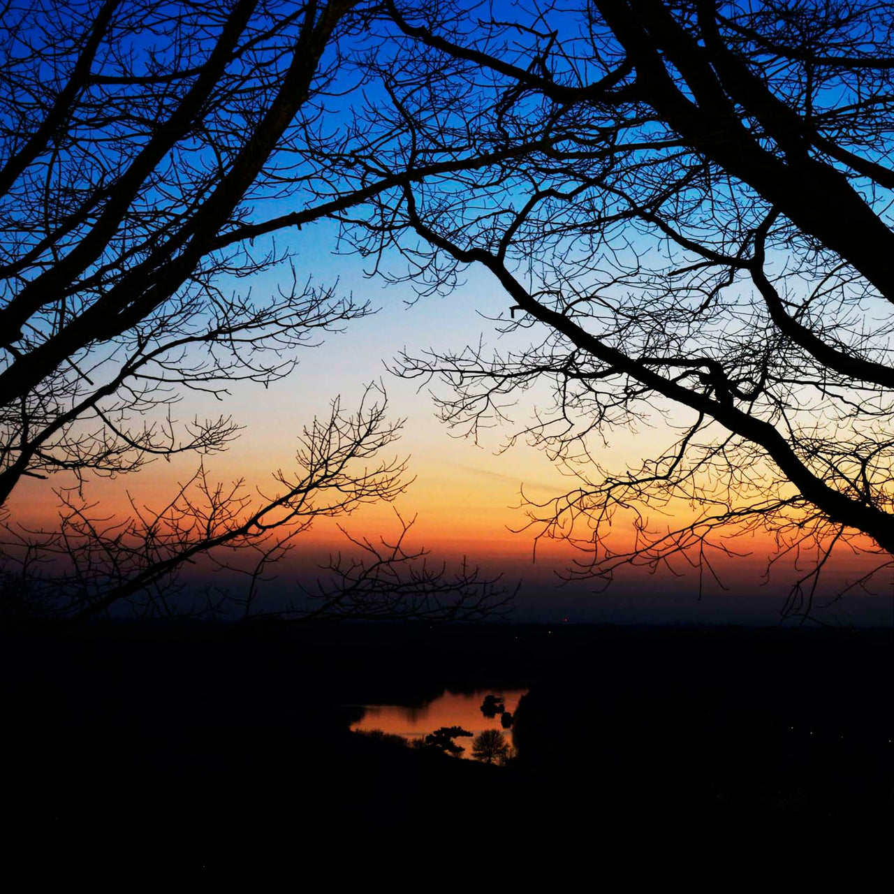 Winter Glow
