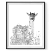 Deer pencil drawing art print in black frame